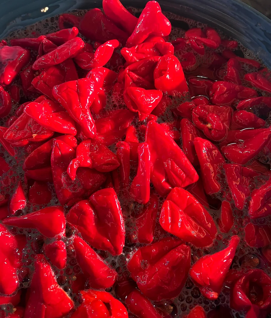 Kardola peppers in brine